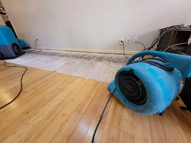 Professional Emergency Water Damage technician working in Massapequa Park, NY